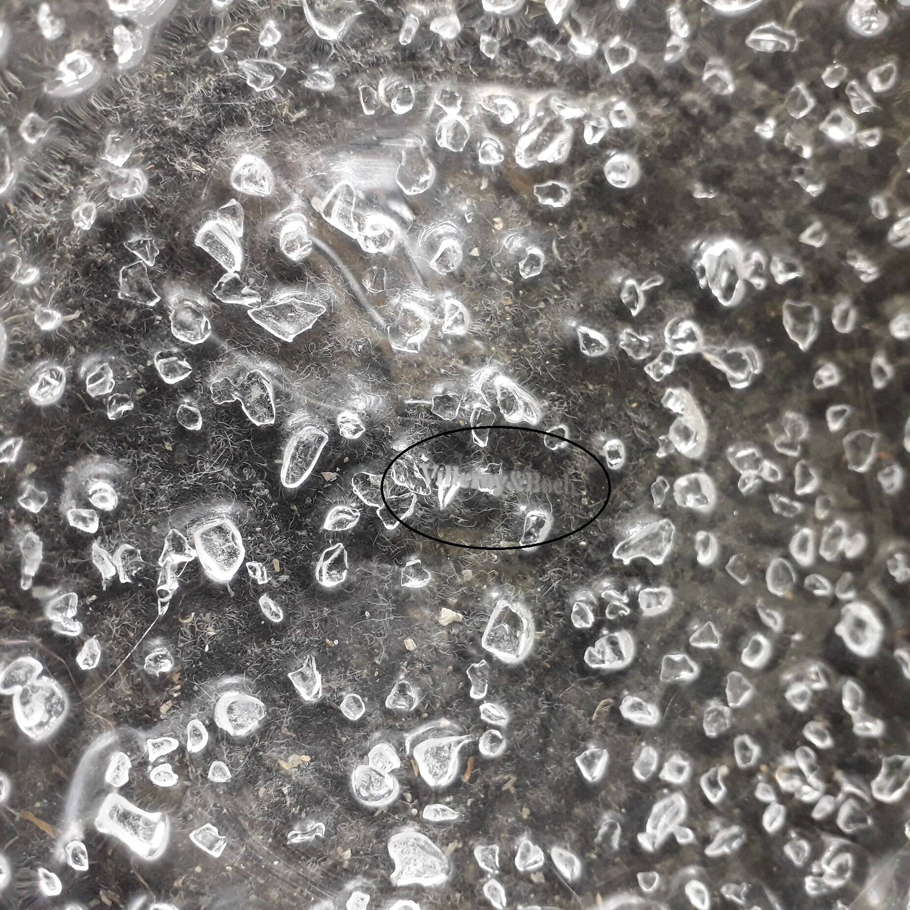 Vase en cristal Villeroy et Boch