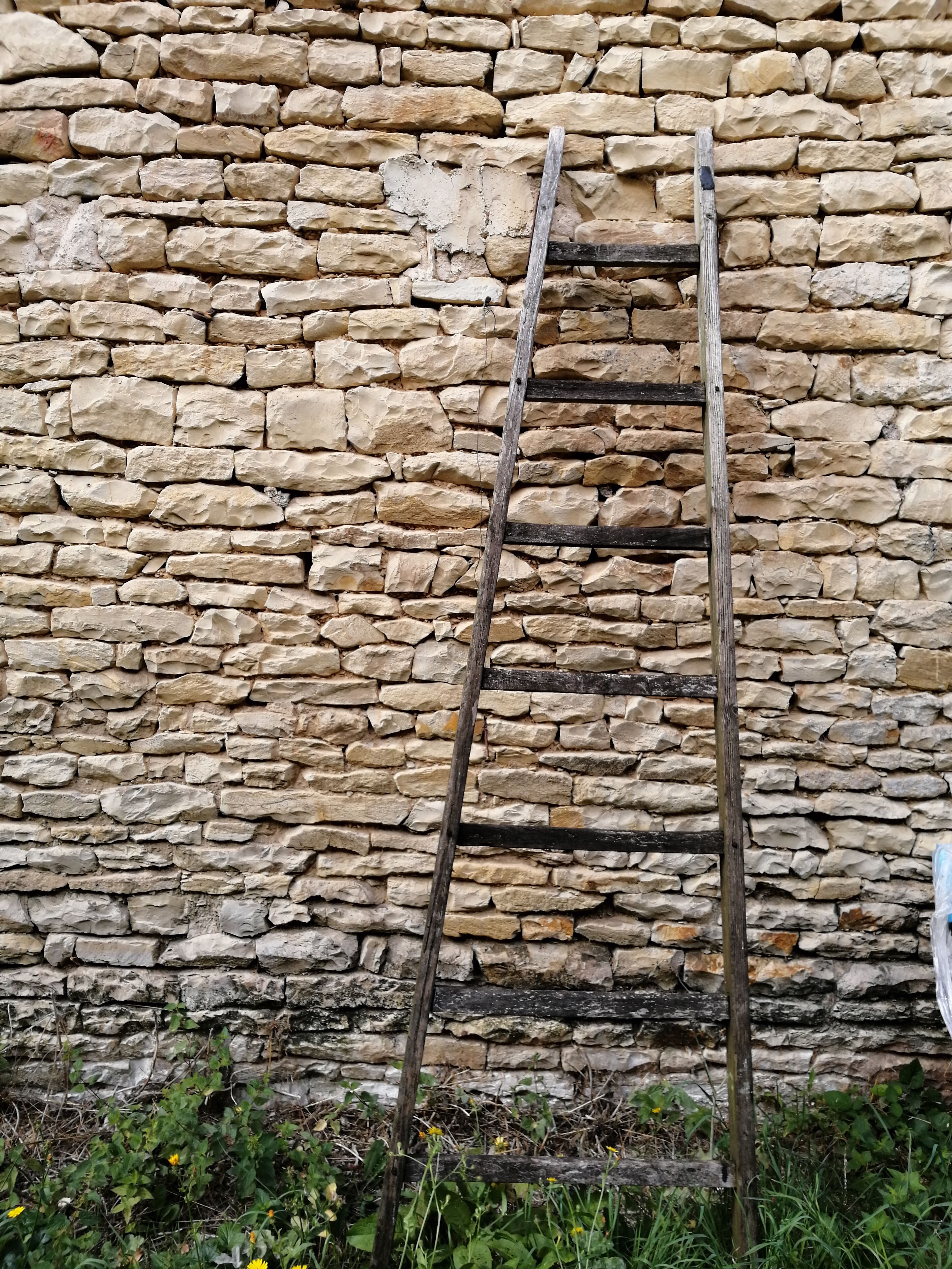 Wooden ladder