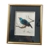 Framing a blue bird in feathers and painting