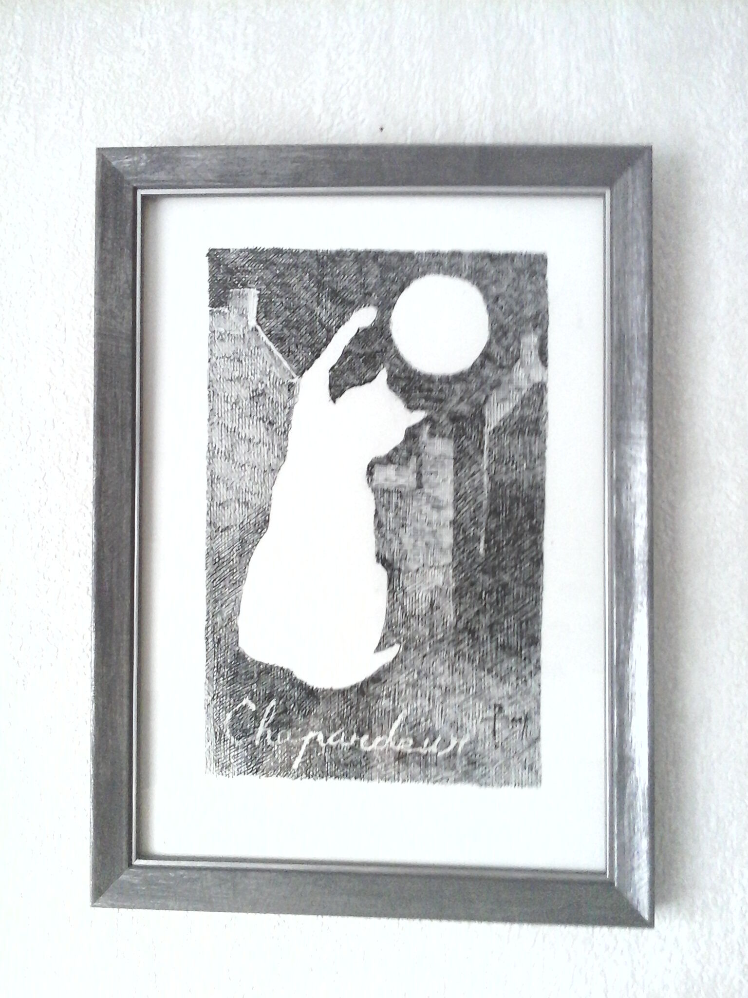 "Chaparder" ink from China