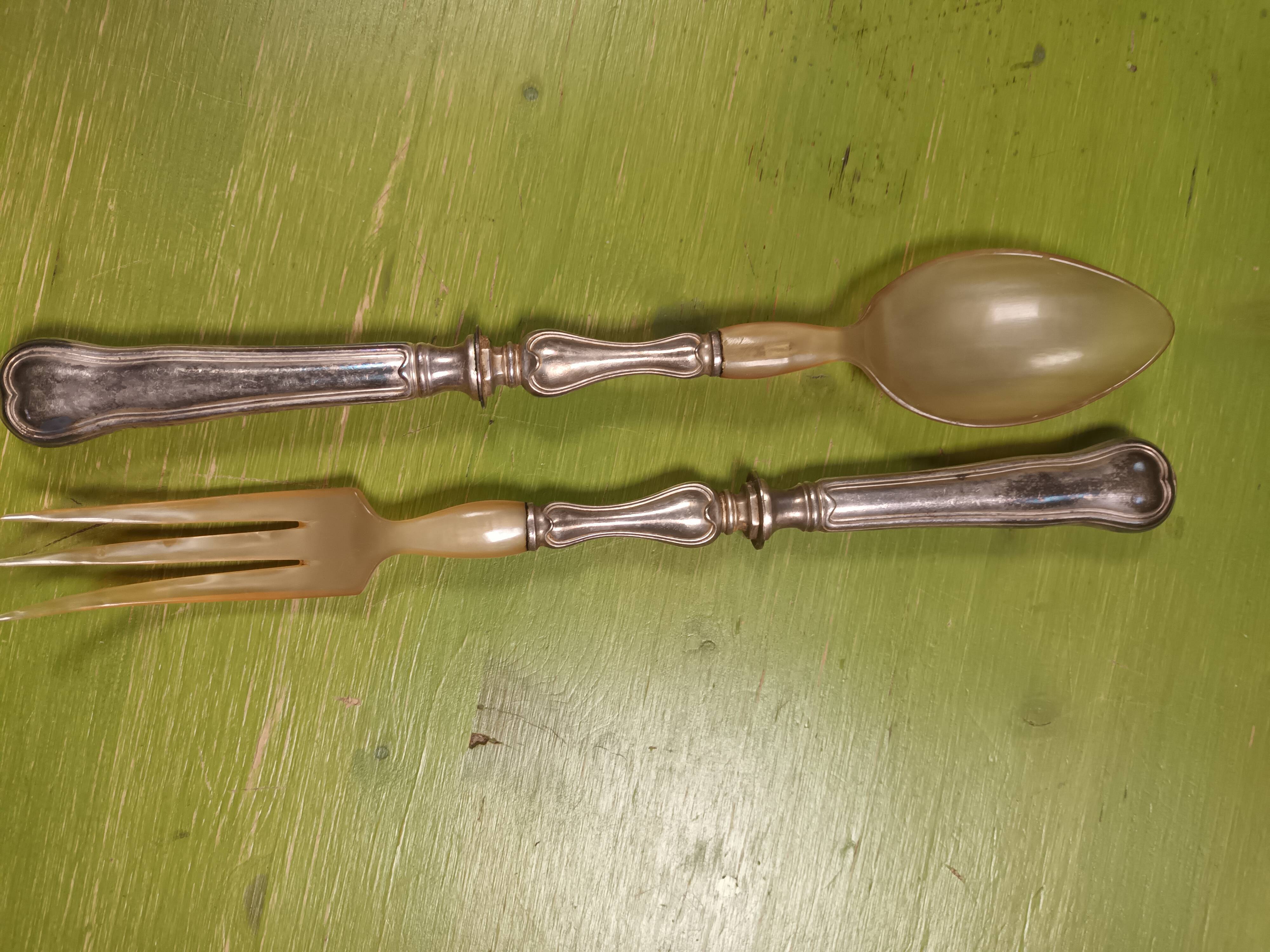 Silver metal cover and horn