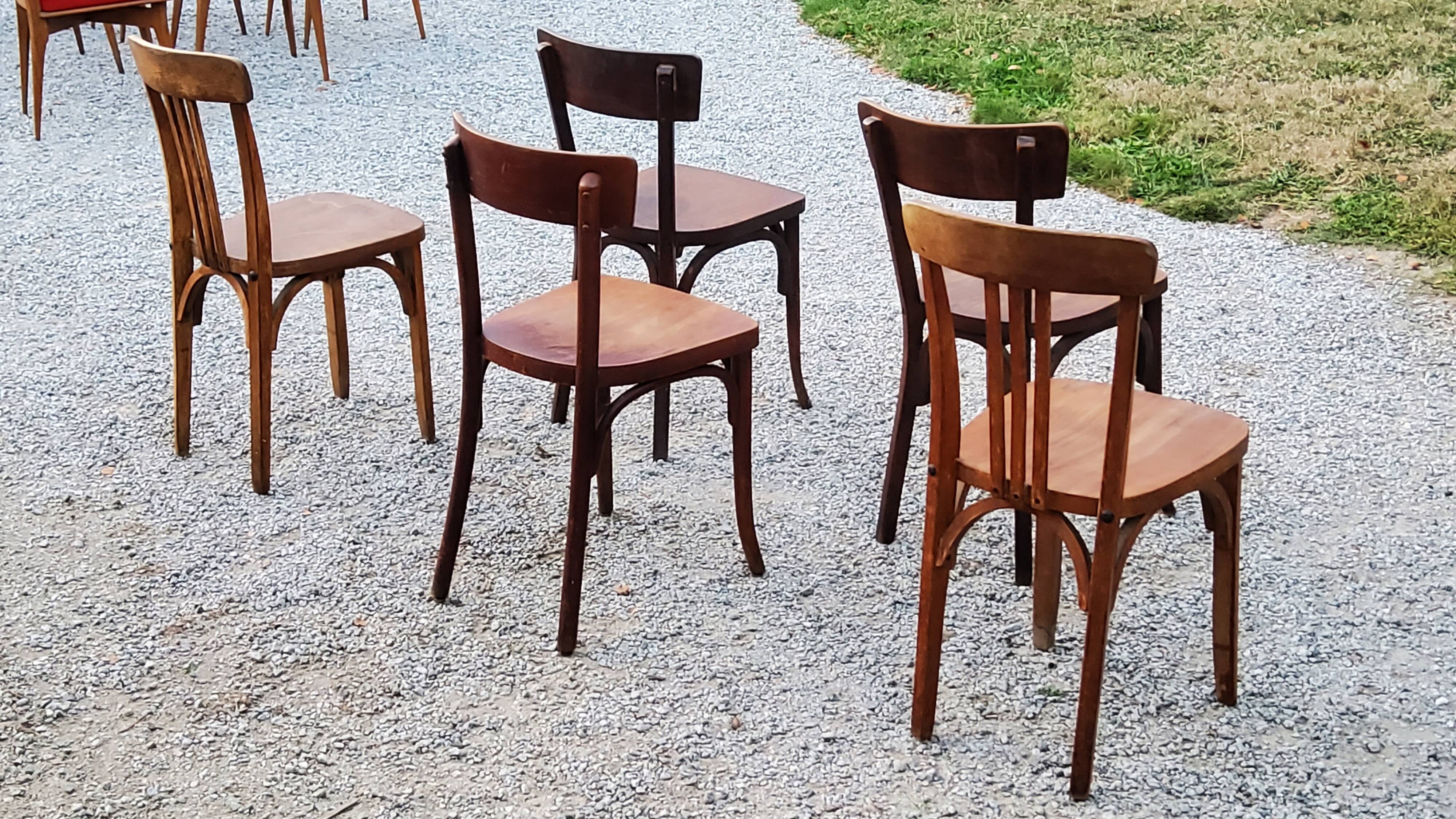 Set of 5 Stella Thonet bistro chairs from the 1950s