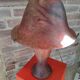 Mushroom lamp glass paste
