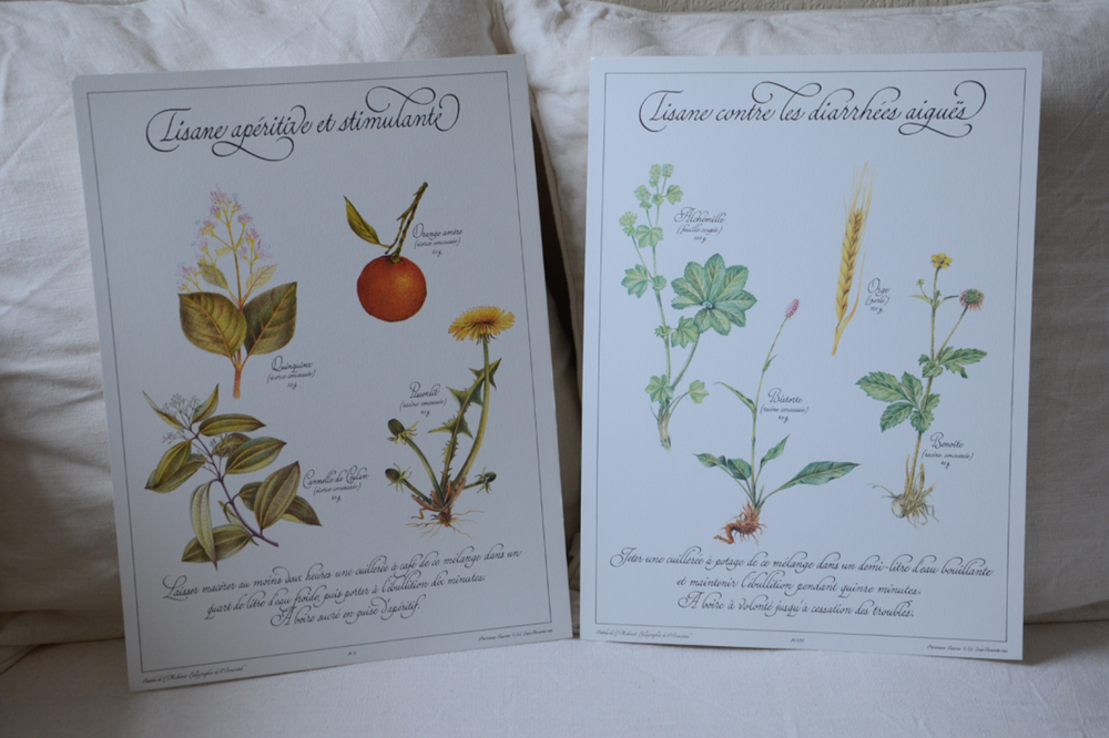 Botanical plates