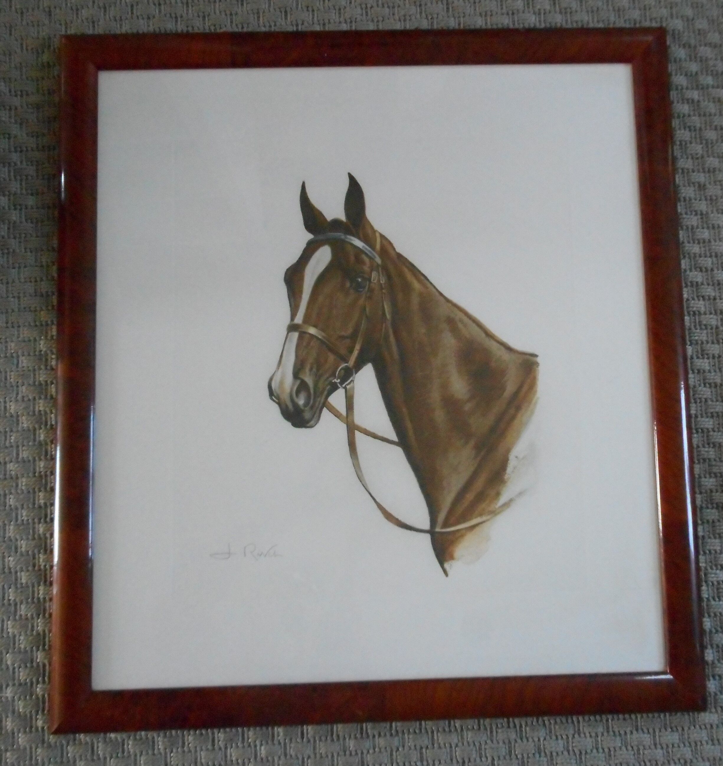 Portrait of a horse lithograph by jean rivet