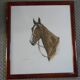 Portrait de cheval lithographie de jean rivet