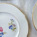 7 small vintage porcelain plates with floral pattern KG Luneville