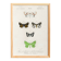 Poster about nocturnal butterflies, based on an old engraving from 1849.