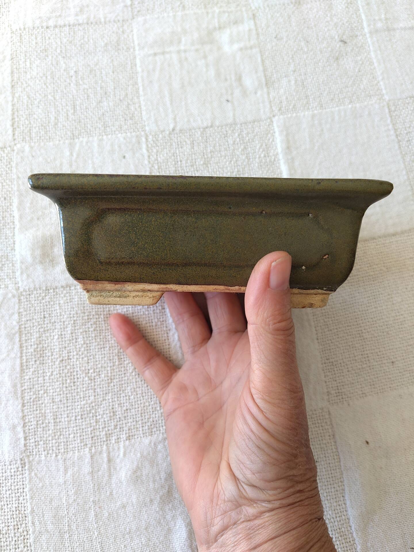Pot bonsaï ou cactus rectangulaire vert