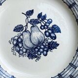 White ceramic plate with a blue fruit pattern.