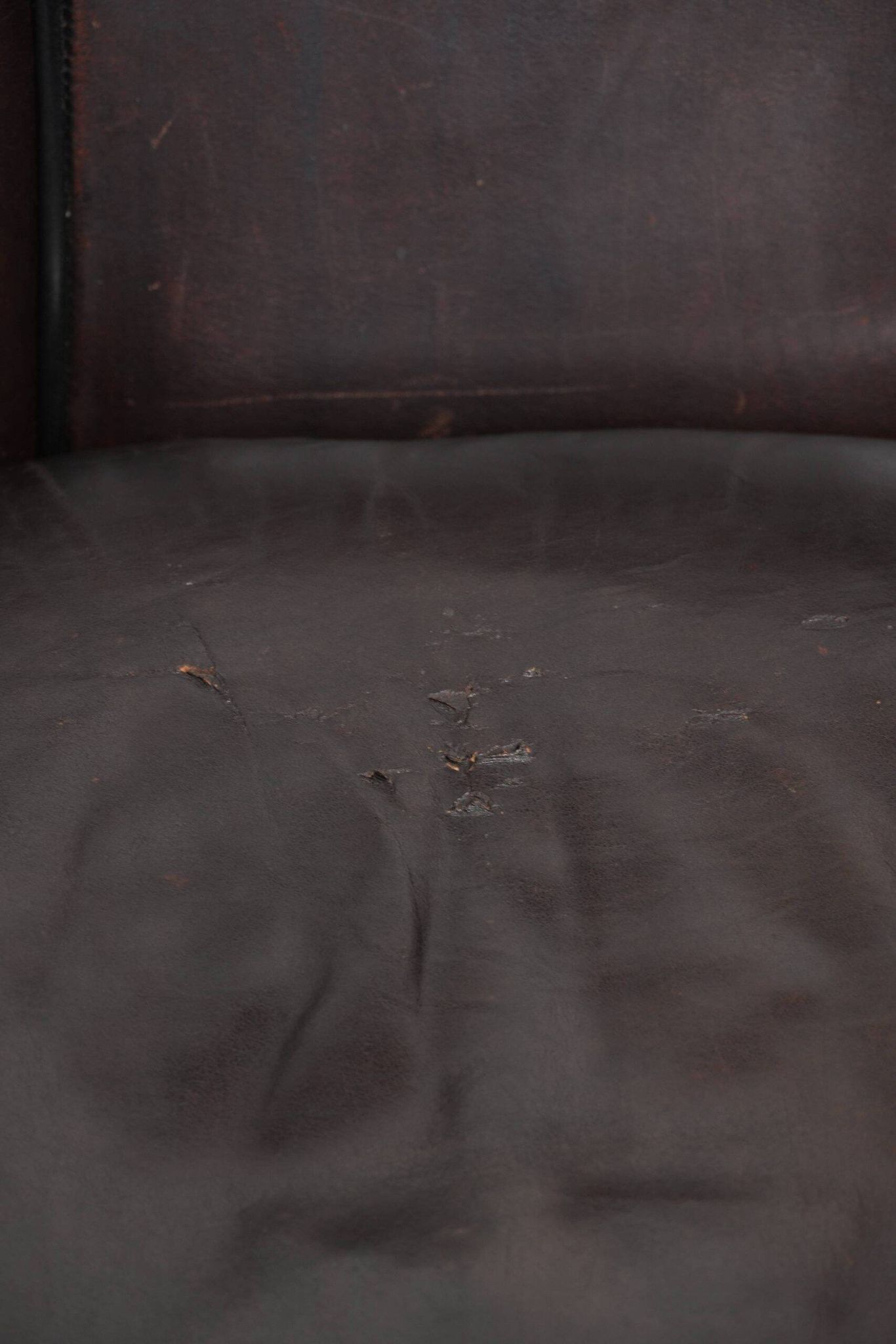 Dark sheepskin club armchair with unique design in English style