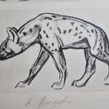 Illustrated plate, Studies of a lion cub and a hyena, Signed A. Margat, 1930