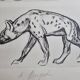 Illustrated plate, Studies of a lion cub and a hyena, Signed A. Margat, 1930