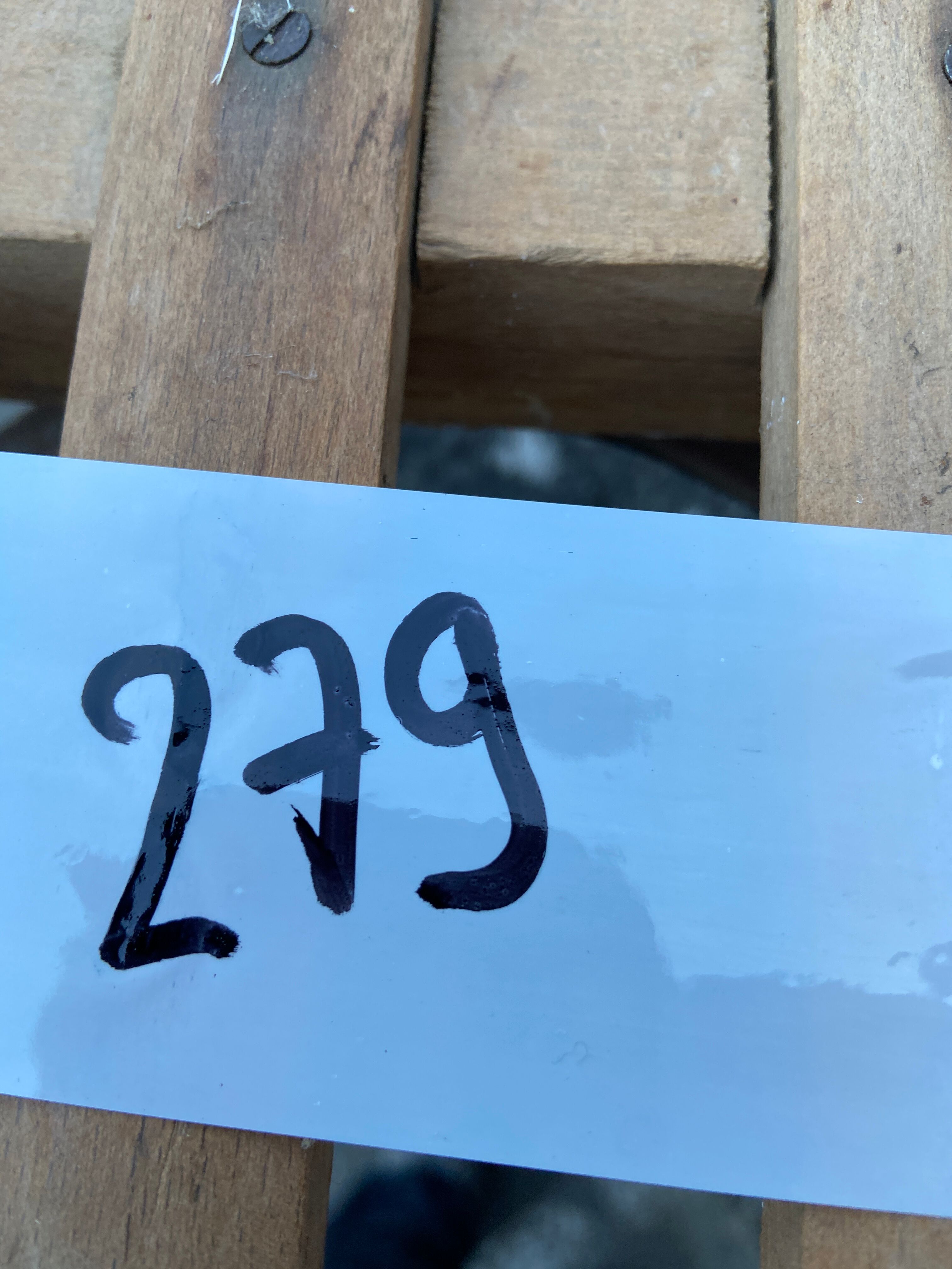 Sledding old alsace decoration christmas Davos