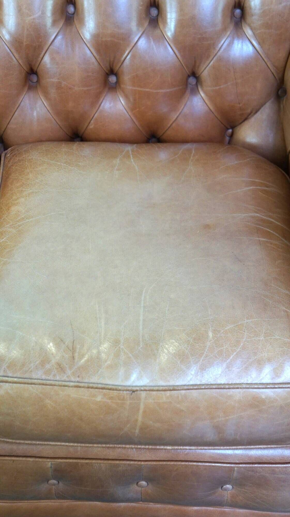 Chesterfield 2-seater sofa in light brown/cream English cowhide leather