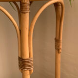 Rattan harness