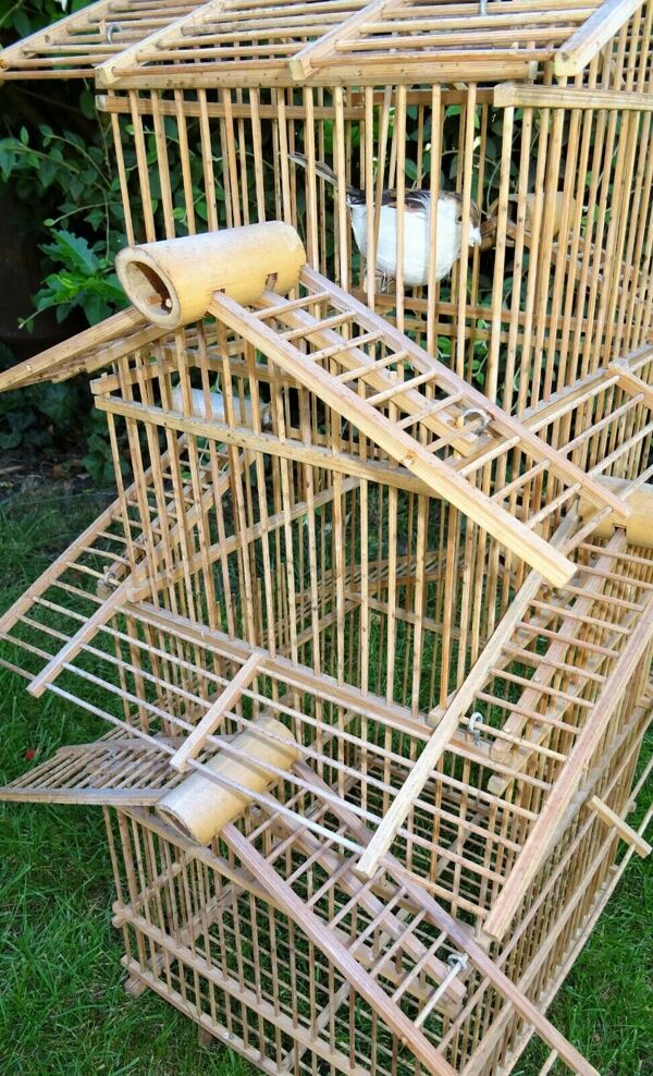 cage à oiseaux en bambou forme pagode années 1960 - 70