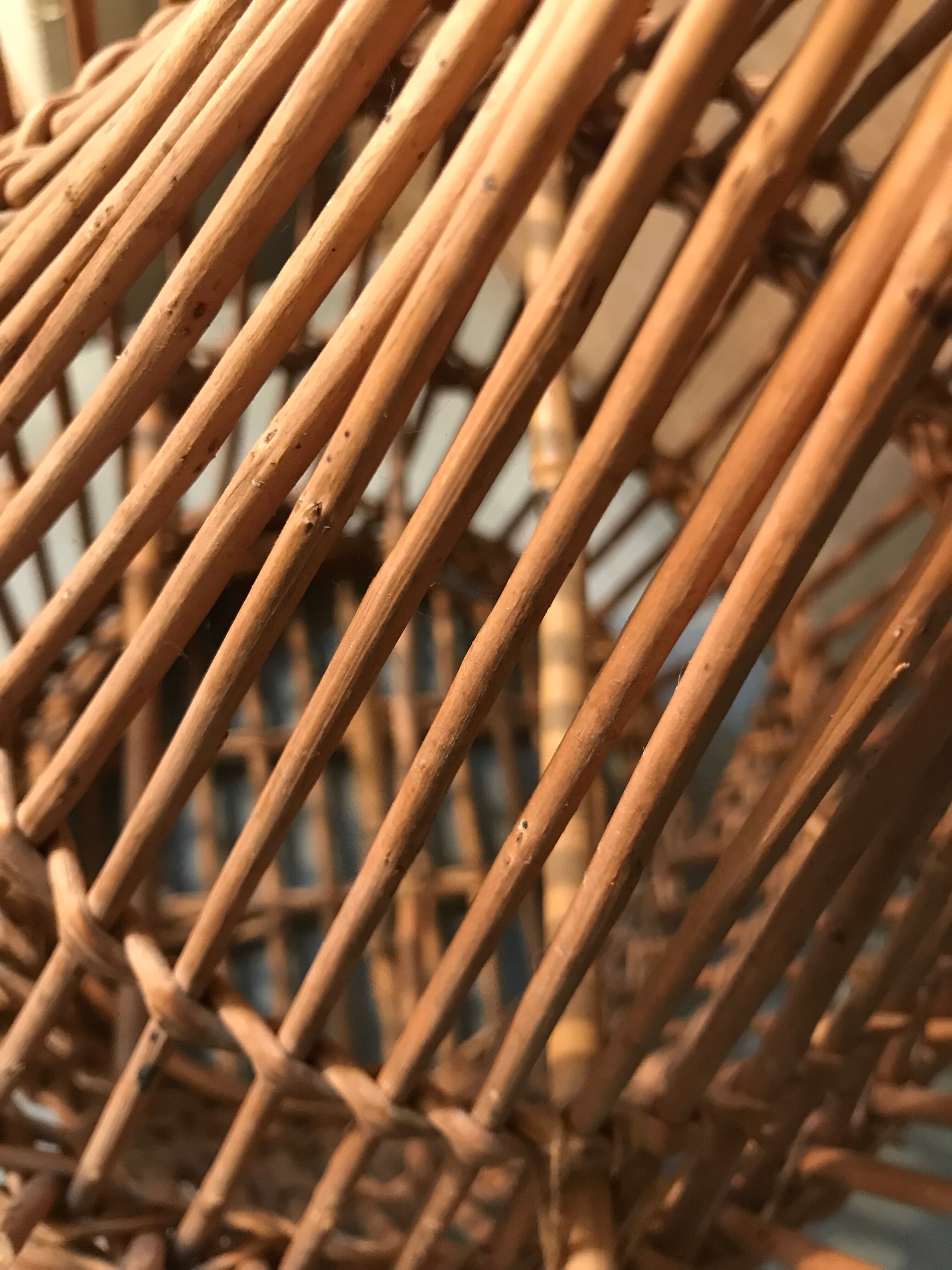 Cage à oiseau en osier