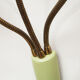 Italian wall lamp in green, for 3 bulbs 1950