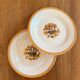 2 flat ironstone plates, Carnations, Creil and Montereau