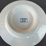 Dish on saline iron earth pedestal