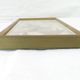Entomology old taxidermy butterfly frame