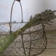 Old harvest basket