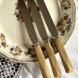 Set of 11 old table knives, horn handle, stainless blade and silver ferrule