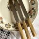 Set of 11 old table knives, horn handle, stainless blade and silver ferrule
