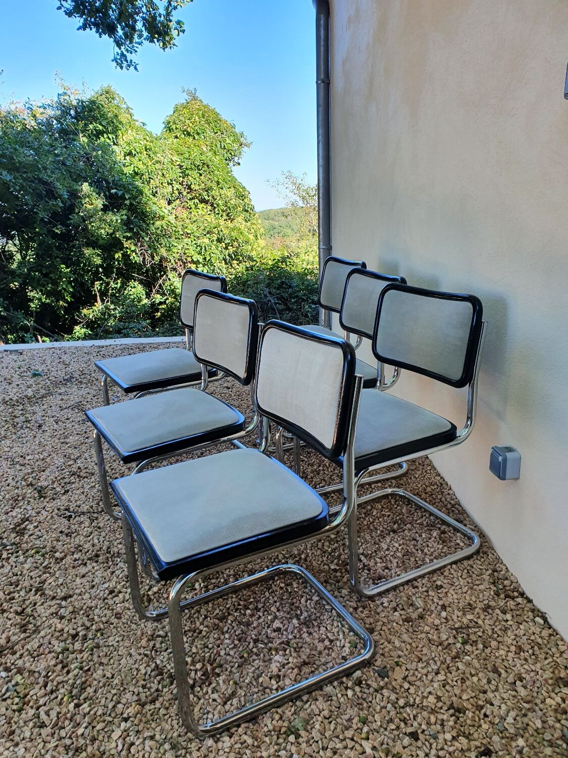 6 Cesca chairs