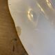 Oval serving dish Digoin Sarreguemines
