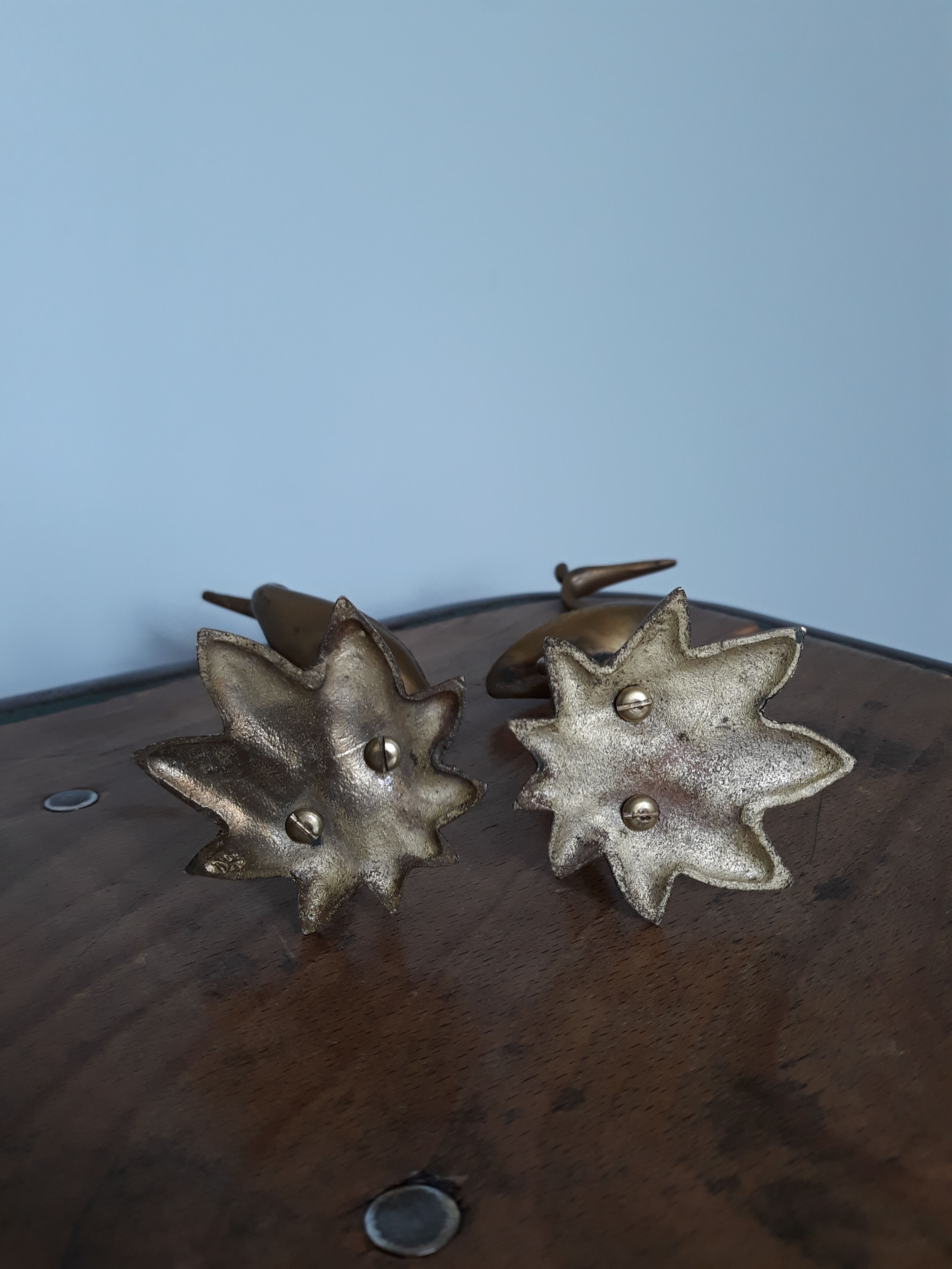 Herons or brass wader birds