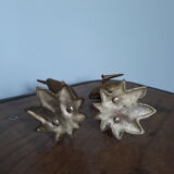 Herons or brass wader birds