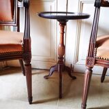 Fauteuils cabriolet de style Louis XVI