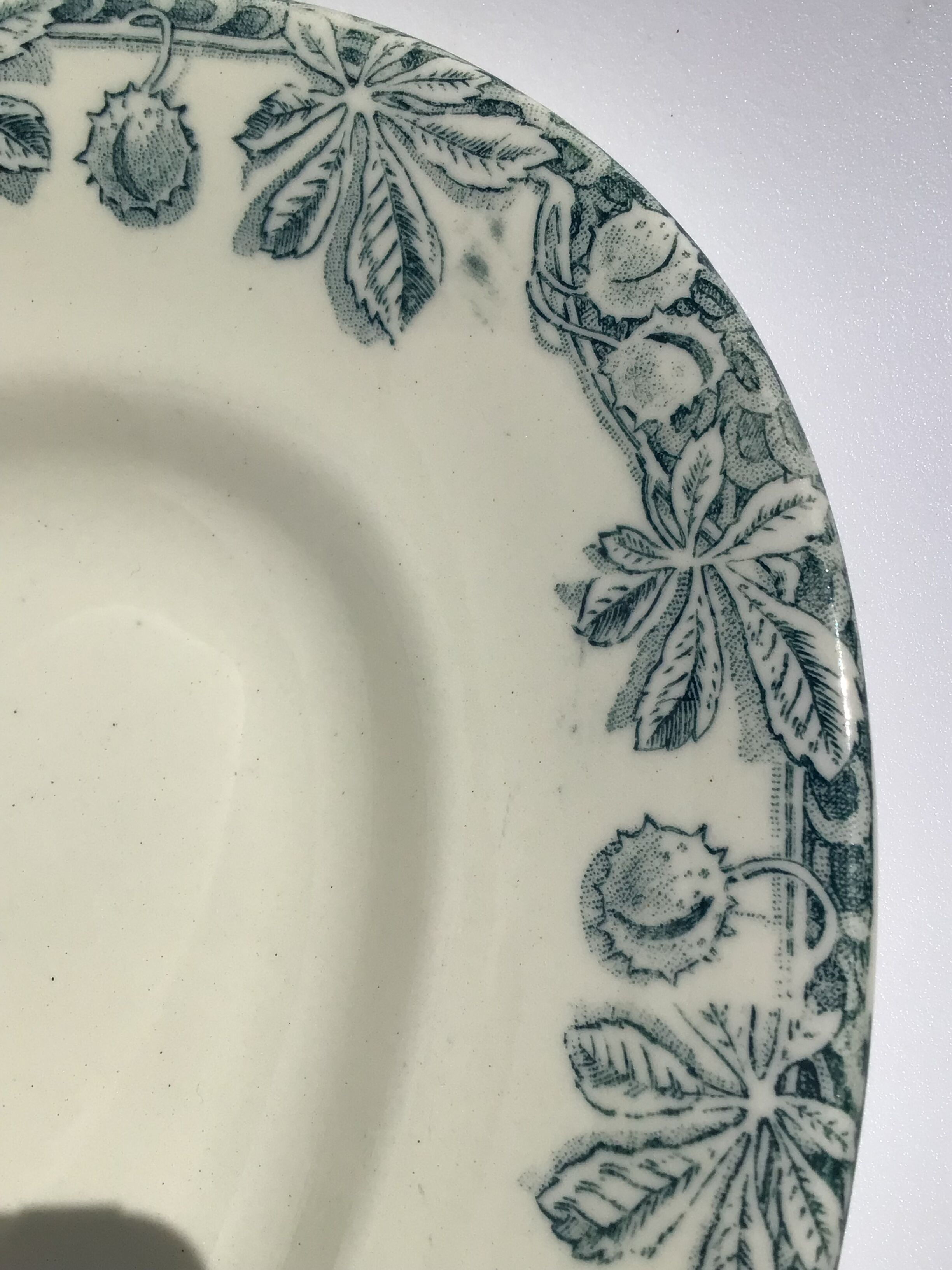 Flat Terre de Fer Salins Savoie blue grayed chestnut