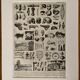 Photographic plate on the prehistory of 1928
