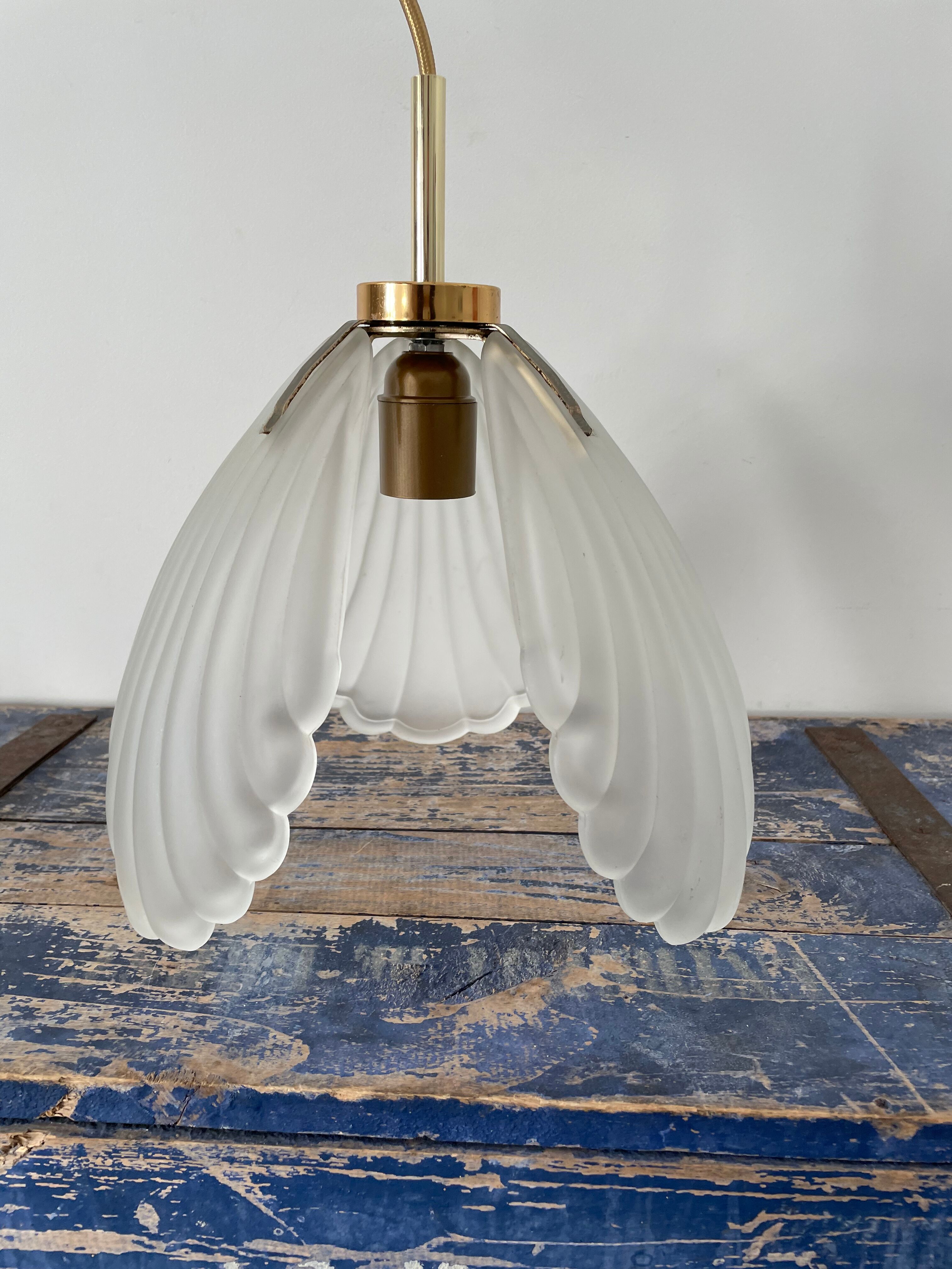 Shell suspension or shell in new electrified glass paste