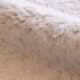 Modern Plain White Rug - 448 x 314 cm