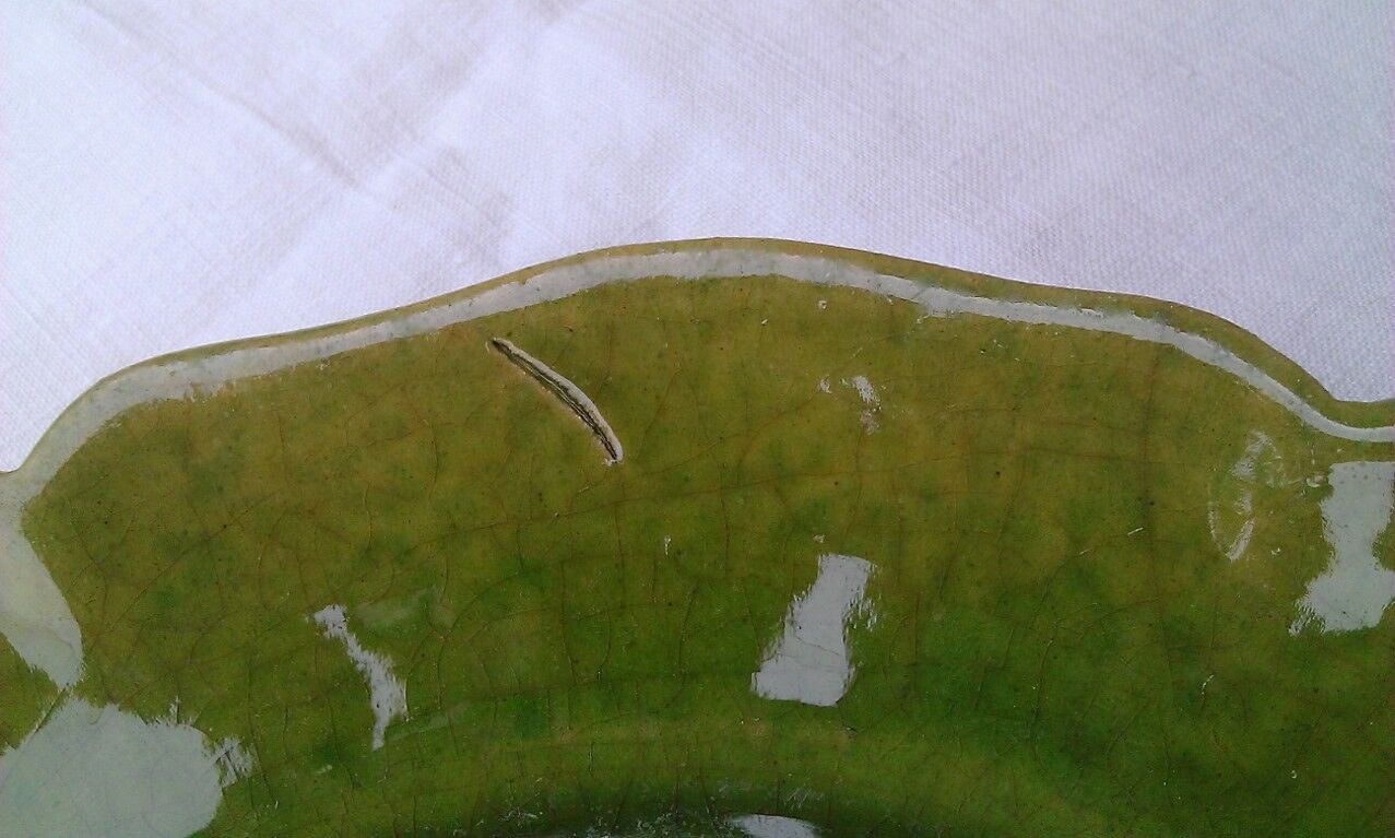 6 flat plates green BIOT