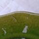 6 flat plates green BIOT