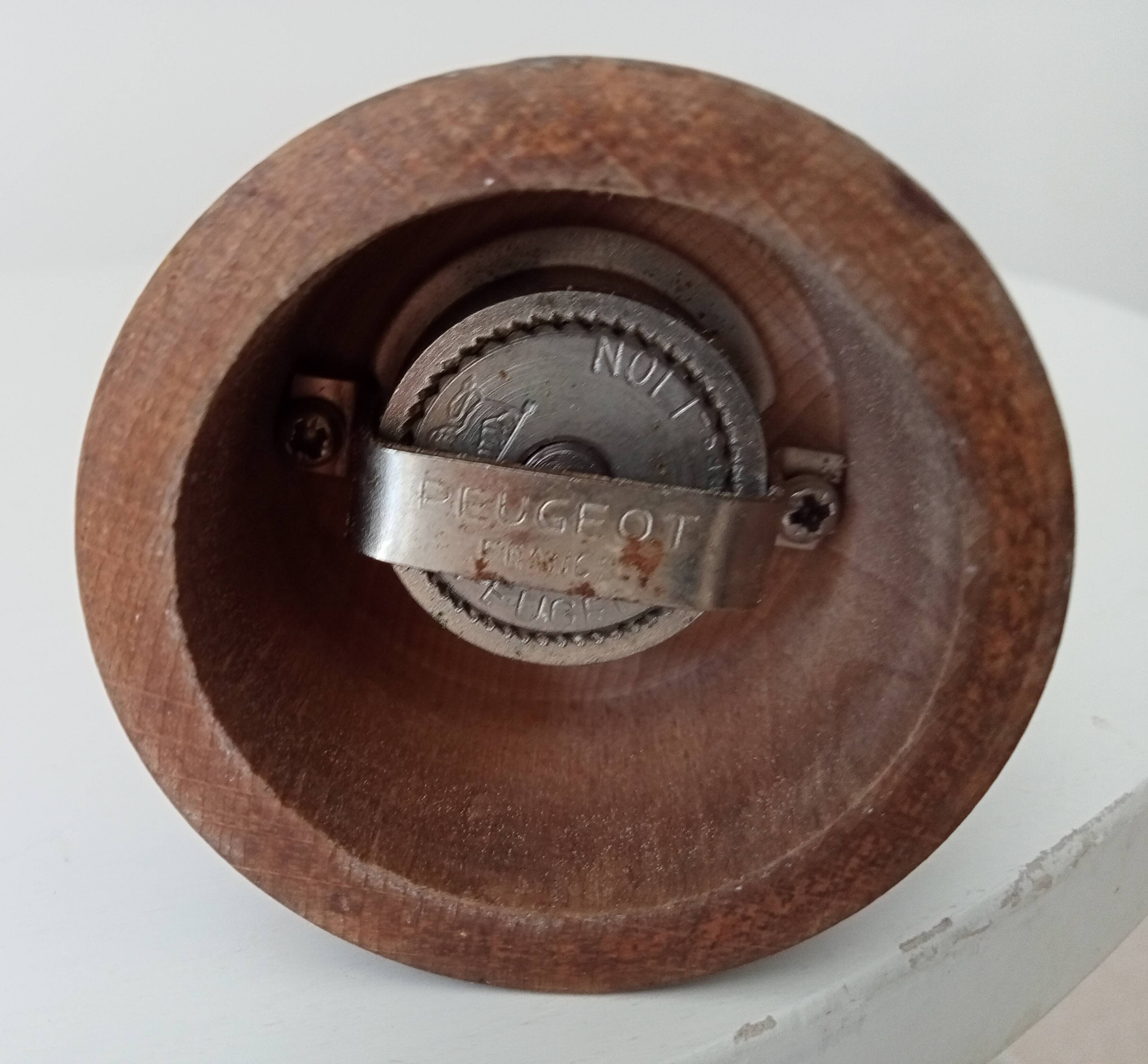 Pepper tree former brothers Peugeot Lion