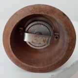 Pepper tree former brothers Peugeot Lion