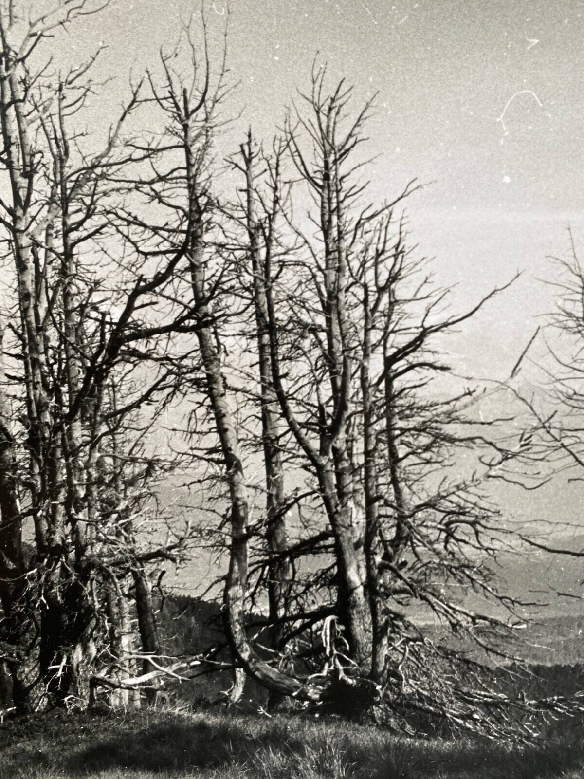 Silver gelatin photograph by Bernard Darot, mountain landscape, 20th century