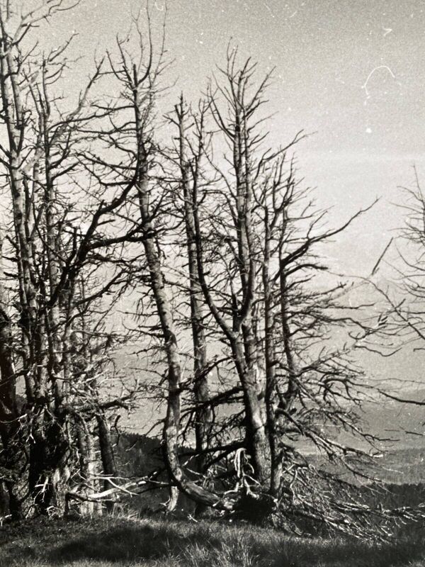 Photographie argentique Bernard Darot Paysage de montagne XXe