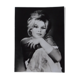Photographie de " Brigitte Bardot "