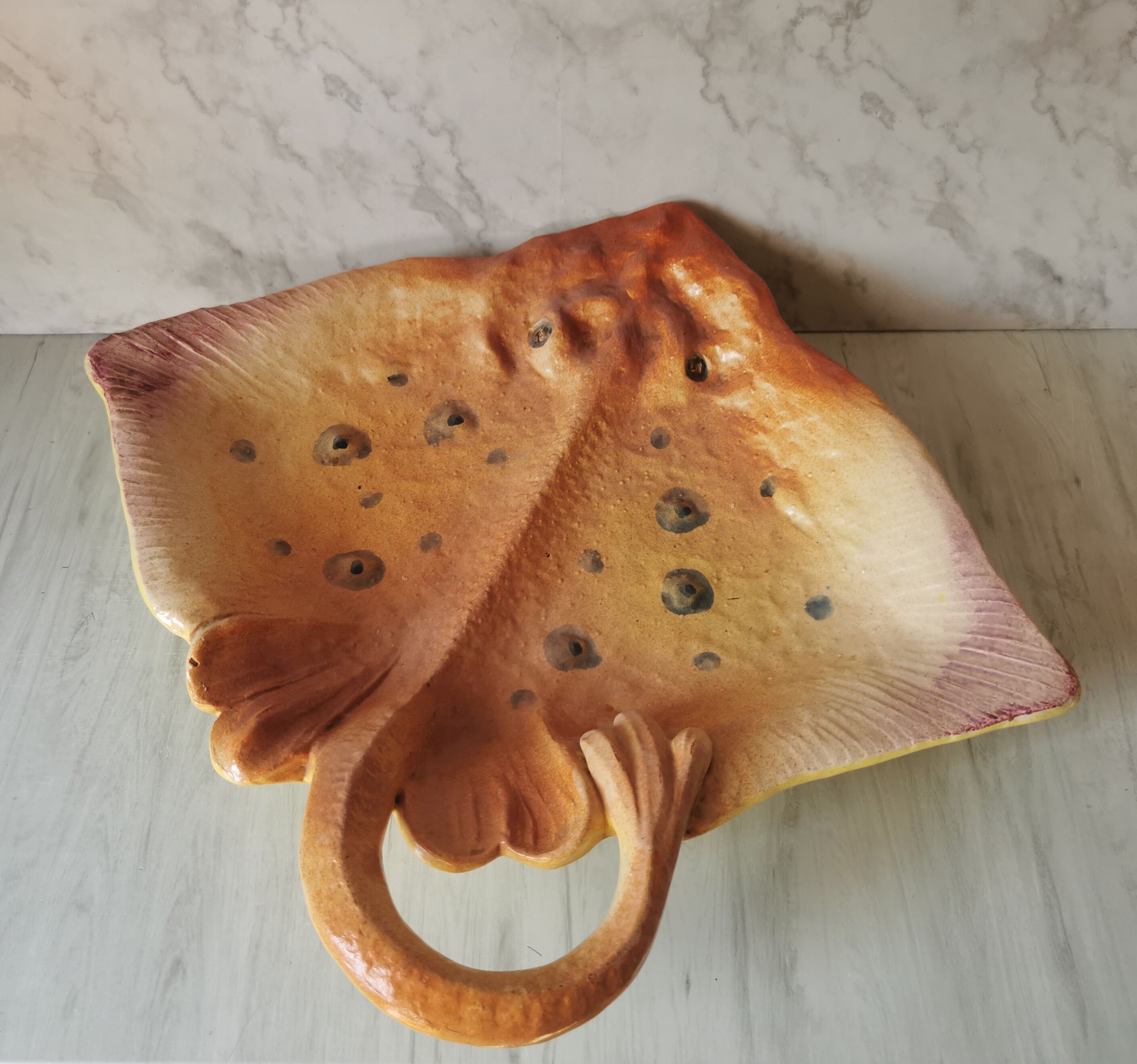 Zoomorphic dish ray
