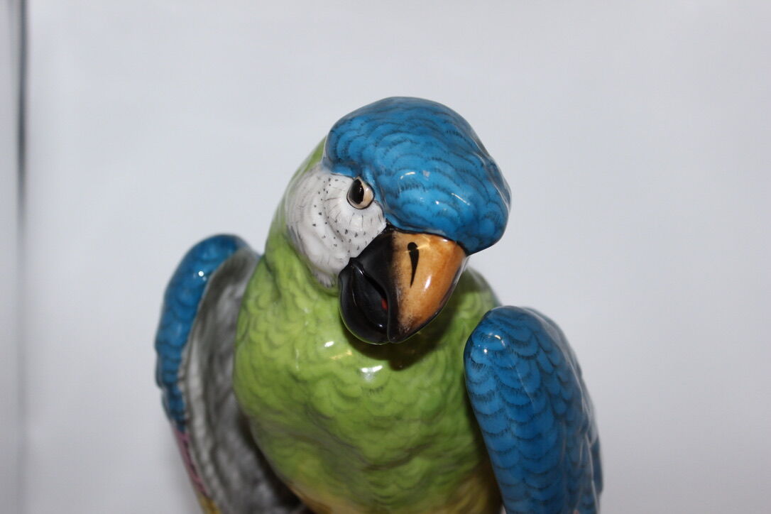 Porcelain Parrot In The Taste Of Meissen XX