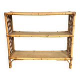 Rattan library