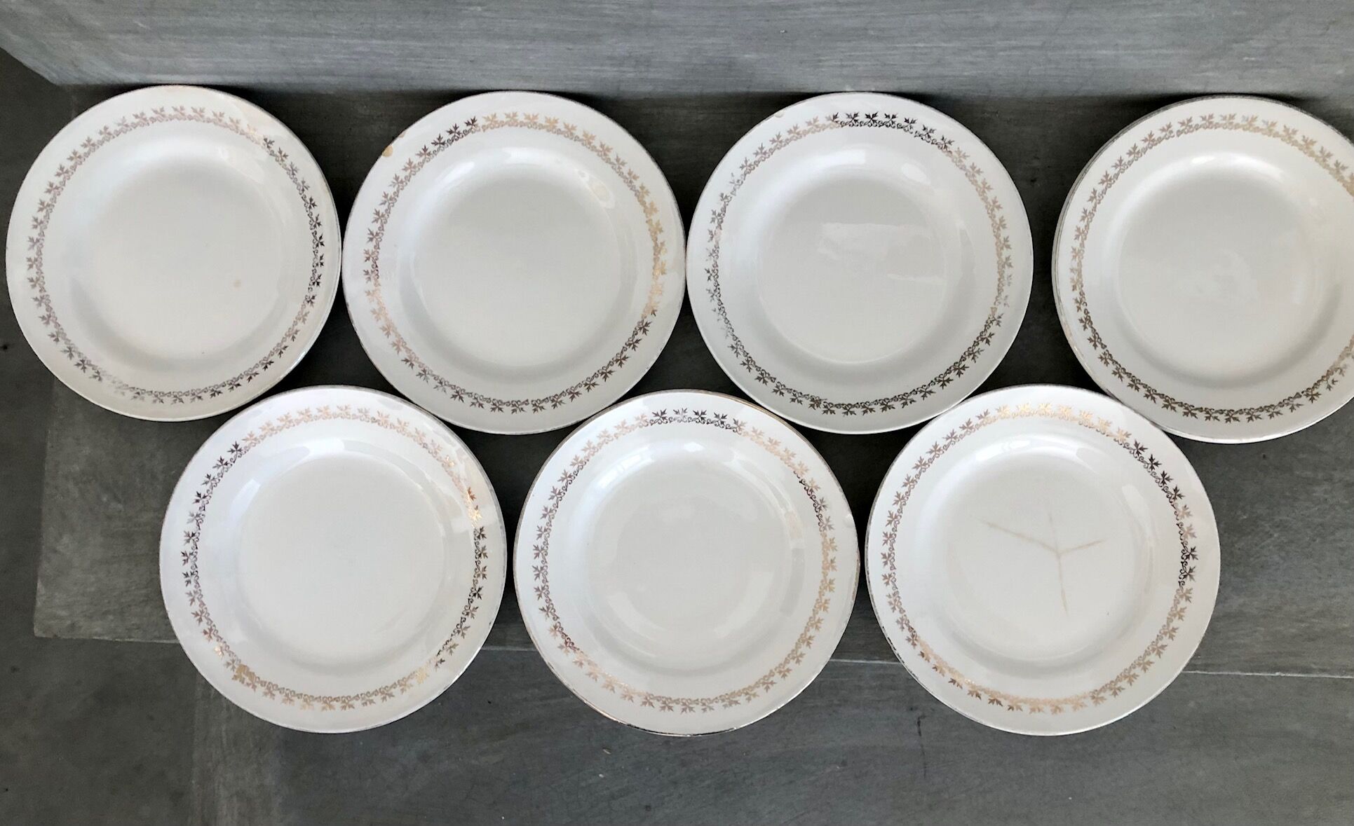 6 Digoin & Sarreguemines dessert plates