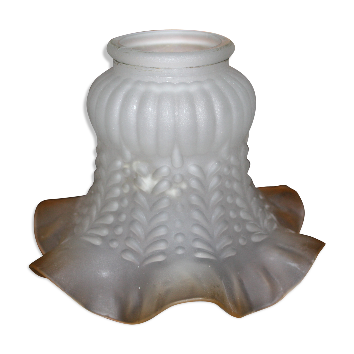 Two-coloured glass tulip